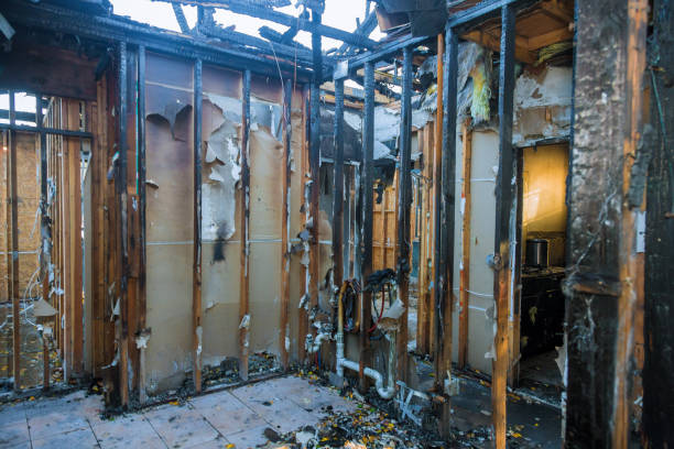 Professional Emergency Fire Cleanup technician working in Lighthouse Point, FL